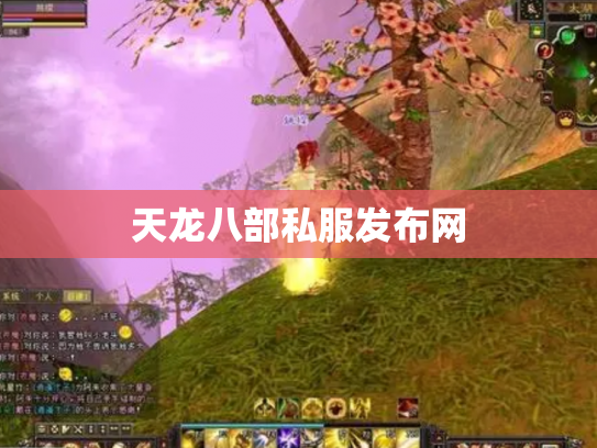 天龙八部私服发布网