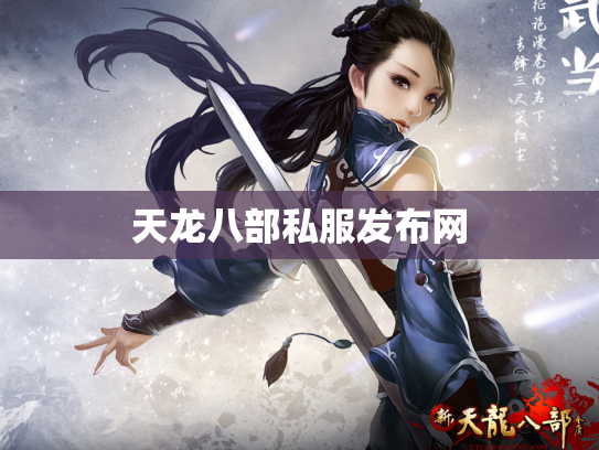 天龙八部私服发布网