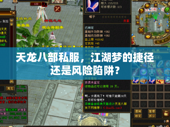 天龙八部私服，江湖梦的捷径还是风险陷阱？