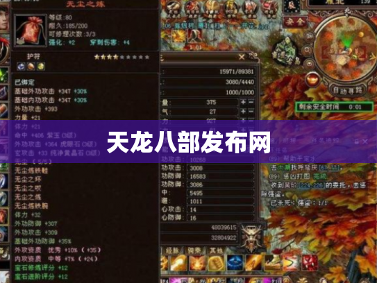 天龙八部发布网