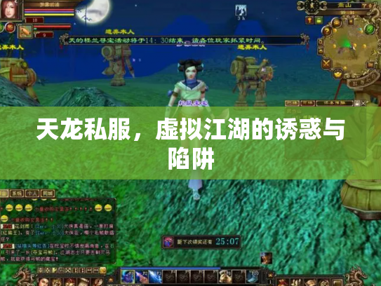 天龙私服，虚拟江湖的诱惑与陷阱