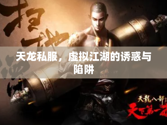 天龙私服，虚拟江湖的诱惑与陷阱