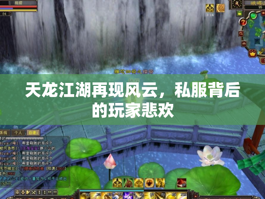 天龙江湖再现风云，私服背后的玩家悲欢