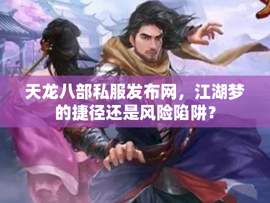 天龙八部私服发布网，江湖梦的捷径还是风险陷阱？