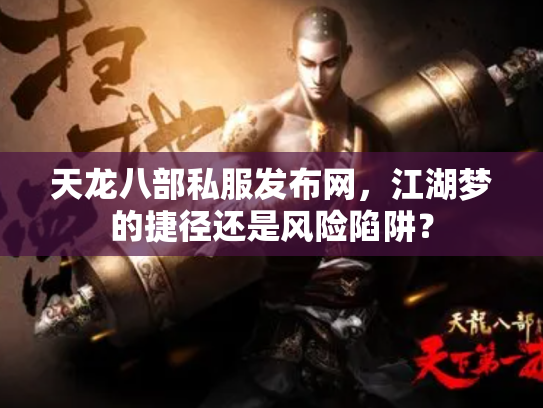 天龙八部私服发布网，江湖梦的捷径还是风险陷阱？