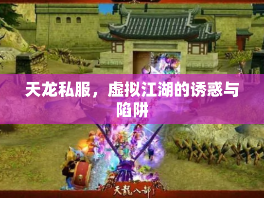 天龙私服，虚拟江湖的诱惑与陷阱