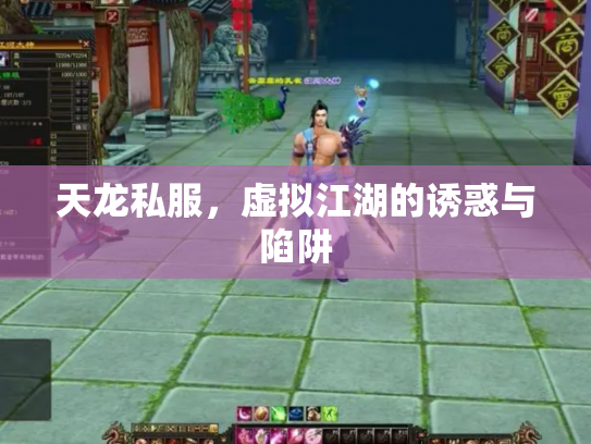 天龙私服，虚拟江湖的诱惑与陷阱