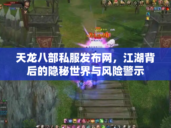 天龙八部私服发布网，江湖背后的隐秘世界与风险警示