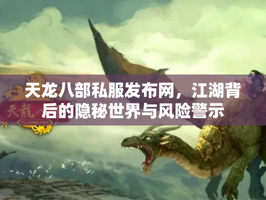天龙八部私服发布网，江湖背后的隐秘世界与风险警示