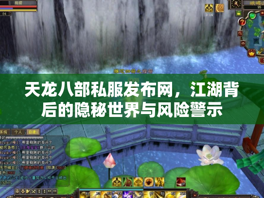 天龙八部私服发布网，江湖背后的隐秘世界与风险警示