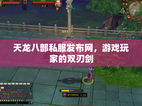 天龙八部私服发布网，游戏玩家的双刃剑