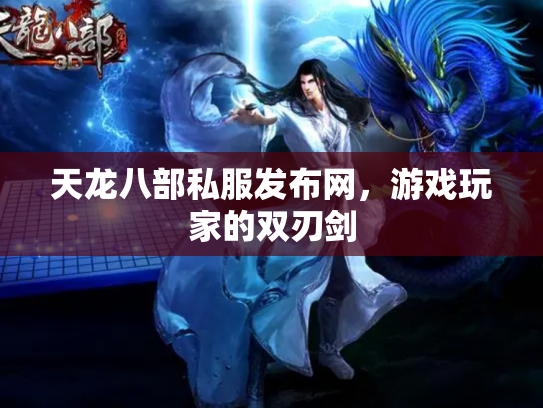 天龙八部私服发布网，游戏玩家的双刃剑