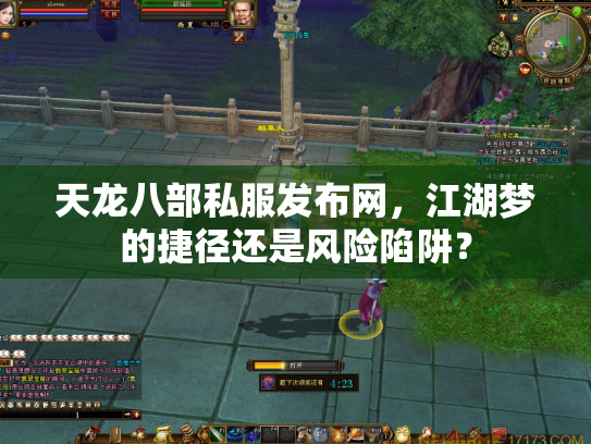 天龙八部私服发布网，江湖梦的捷径还是风险陷阱？
