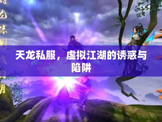 天龙私服，虚拟江湖的诱惑与陷阱