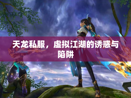天龙私服，虚拟江湖的诱惑与陷阱