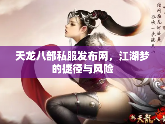 天龙八部私服发布网，江湖梦的捷径与风险