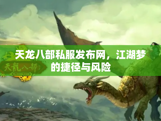 天龙八部私服发布网，江湖梦的捷径与风险