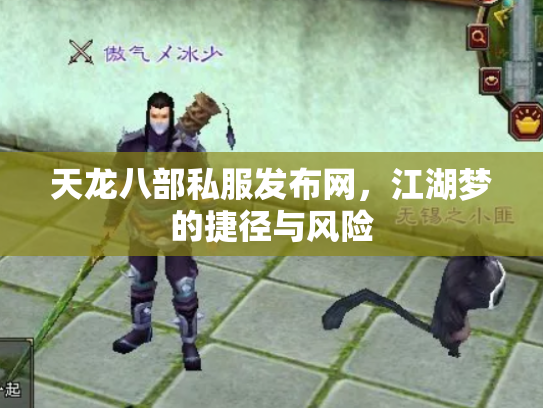 天龙八部私服发布网，江湖梦的捷径与风险