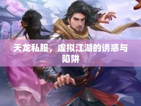 天龙私服，虚拟江湖的诱惑与陷阱