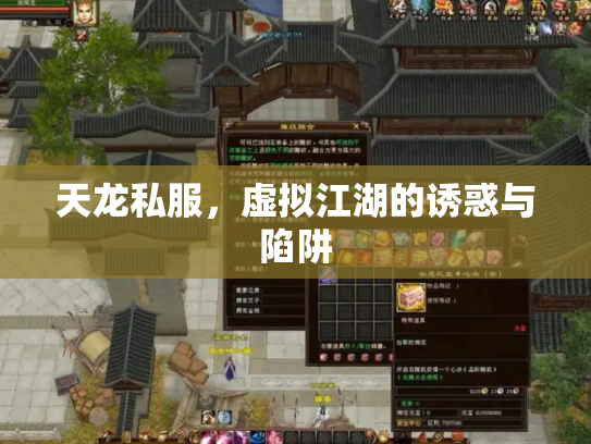 天龙私服，虚拟江湖的诱惑与陷阱