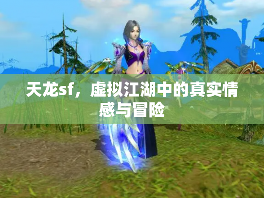 天龙sf，虚拟江湖中的真实情感与冒险