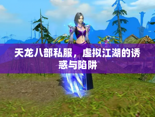 天龙八部私服，虚拟江湖的诱惑与陷阱