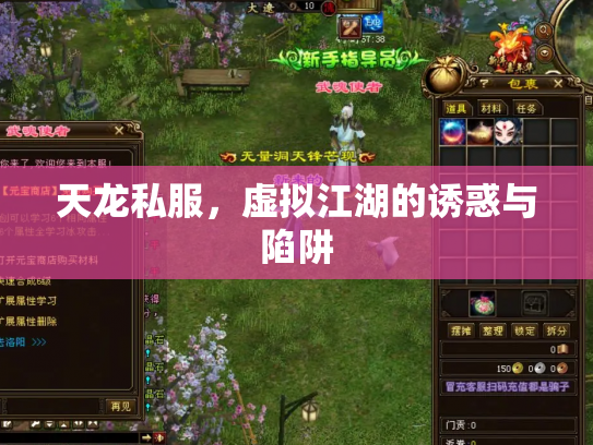 天龙私服，虚拟江湖的诱惑与陷阱