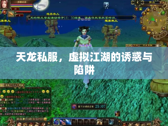 天龙私服，虚拟江湖的诱惑与陷阱