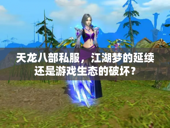 天龙八部私服，江湖梦的延续还是游戏生态的破坏？