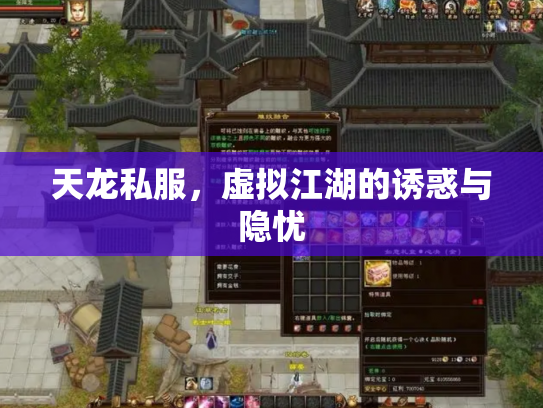天龙私服，虚拟江湖的诱惑与隐忧