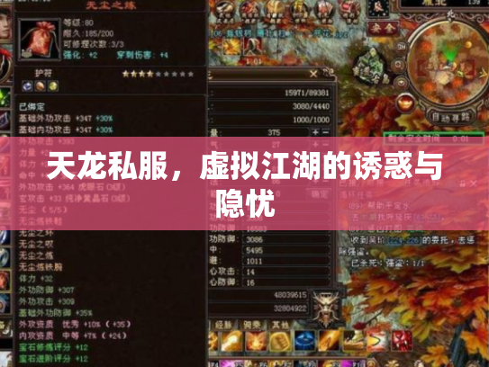 天龙私服，虚拟江湖的诱惑与隐忧
