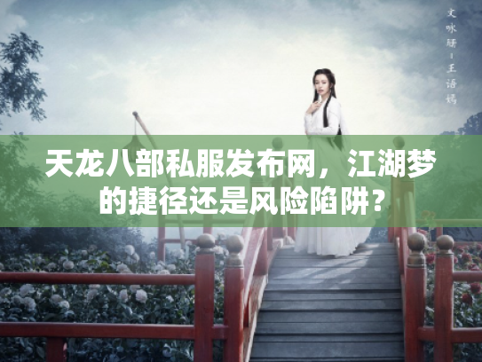 天龙八部私服发布网，江湖梦的捷径还是风险陷阱？