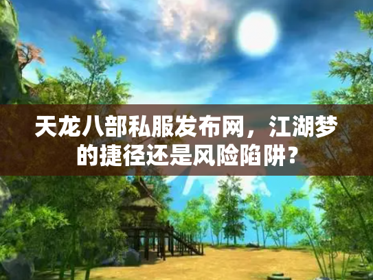 天龙八部私服发布网，江湖梦的捷径还是风险陷阱？