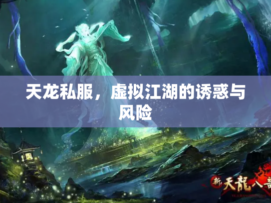 天龙私服，虚拟江湖的诱惑与风险