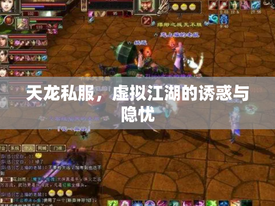 天龙私服，虚拟江湖的诱惑与隐忧