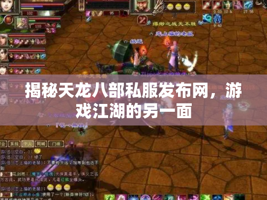 揭秘天龙八部私服发布网，游戏江湖的另一面