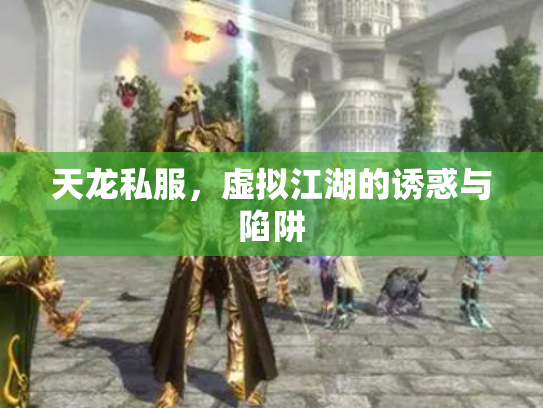 天龙私服，虚拟江湖的诱惑与陷阱