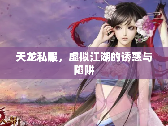 天龙私服，虚拟江湖的诱惑与陷阱