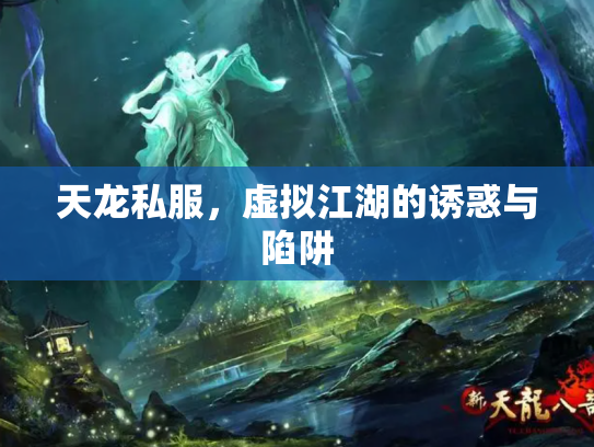 天龙私服，虚拟江湖的诱惑与陷阱