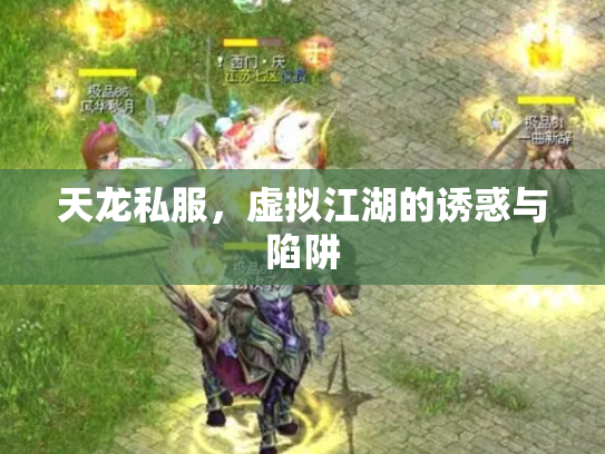 天龙私服，虚拟江湖的诱惑与陷阱