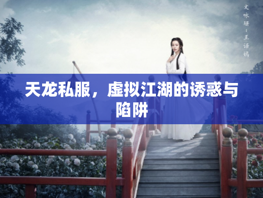 天龙私服，虚拟江湖的诱惑与陷阱