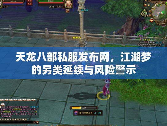 天龙八部私服发布网，江湖梦的另类延续与风险警示