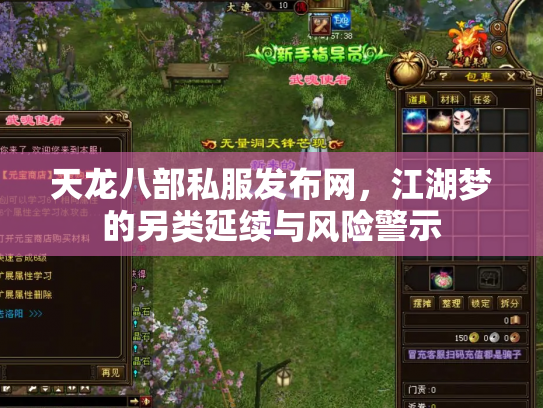 天龙八部私服发布网，江湖梦的另类延续与风险警示