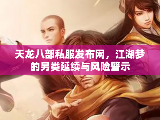 天龙八部私服发布网，江湖梦的另类延续与风险警示