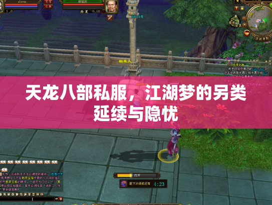 天龙八部私服，江湖梦的另类延续与隐忧