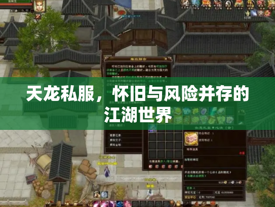 天龙私服，怀旧与风险并存的江湖世界