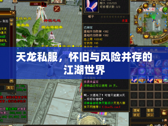 天龙私服，怀旧与风险并存的江湖世界