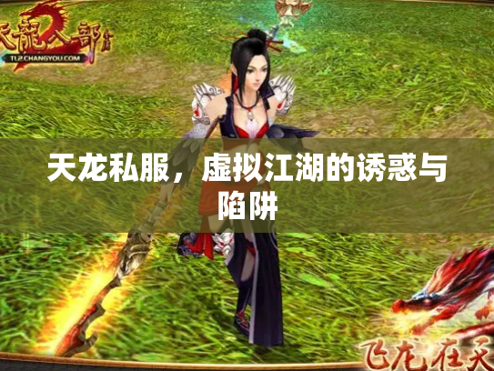 天龙私服，虚拟江湖的诱惑与陷阱
