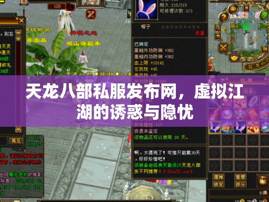 天龙八部私服发布网，虚拟江湖的诱惑与隐忧