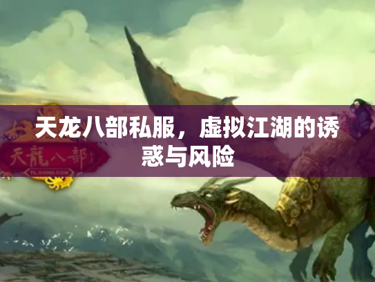 天龙八部私服，虚拟江湖的诱惑与风险